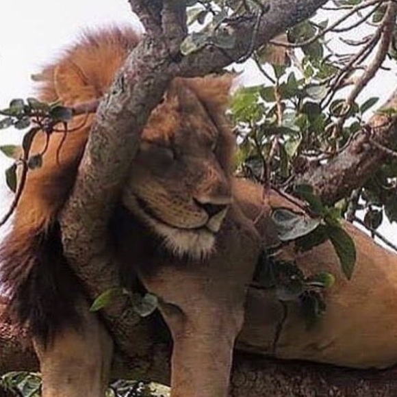 Meet your Posher, A.marie - Picture 1 of 1